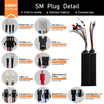 100A Valdiklis 48-72V